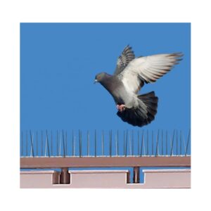 BIRD PROTECTOR (BIG) - Image 3