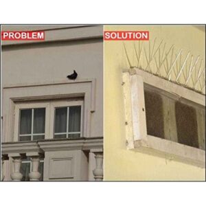 BIRD PROTECTOR (BIG) - Image 4